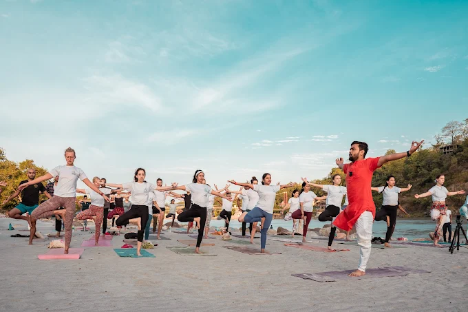 Why Yoga Teacher Training Is Important for Every Yogi